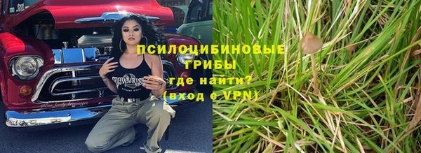 эйфоретик Алексин