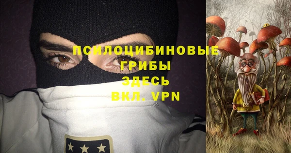 эйфоретик Алексин