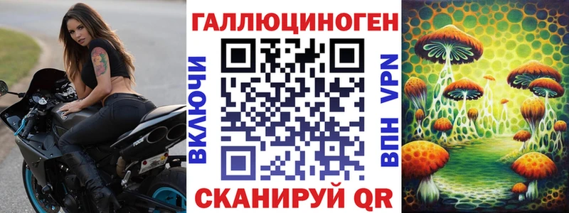 Псилоцибиновые грибы мицелий  blacksprut зеркало  Малаховка 